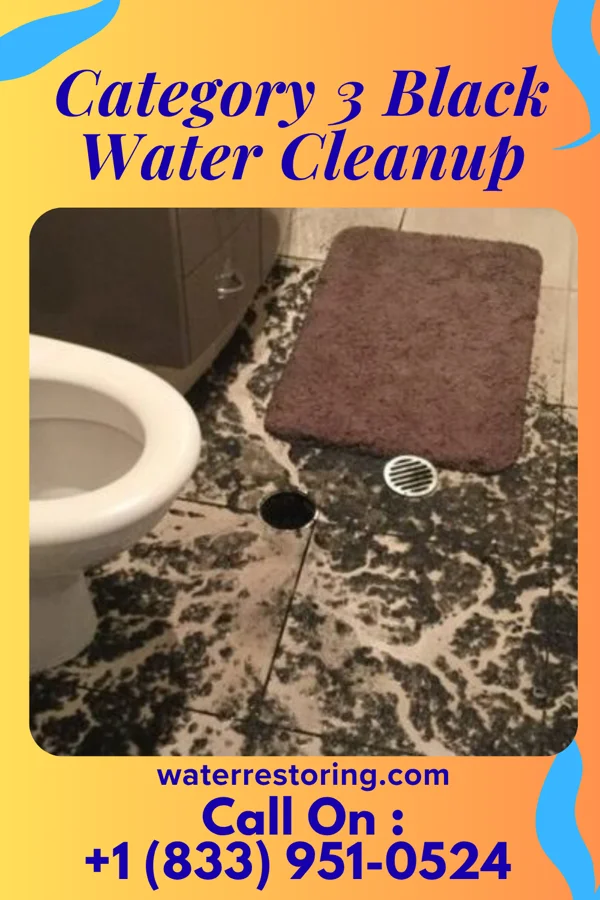 Category 3 Black Water Cleanup in Larwill, IN