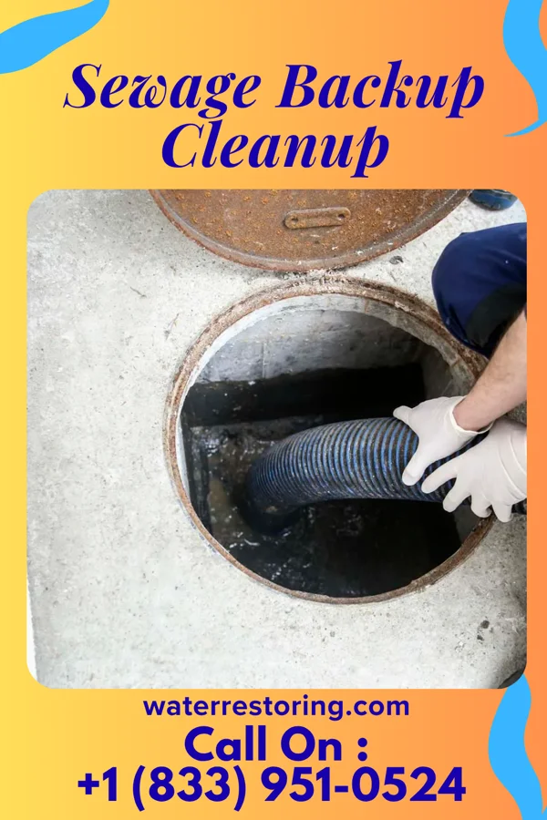Sewage Backup Cleanup in Larwill, IN